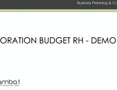 SAP BPC 10.1 on HANA HR simulation / Budget RH